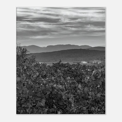 852c398c-1b2a-413a-9cd9-b2869c36eb02