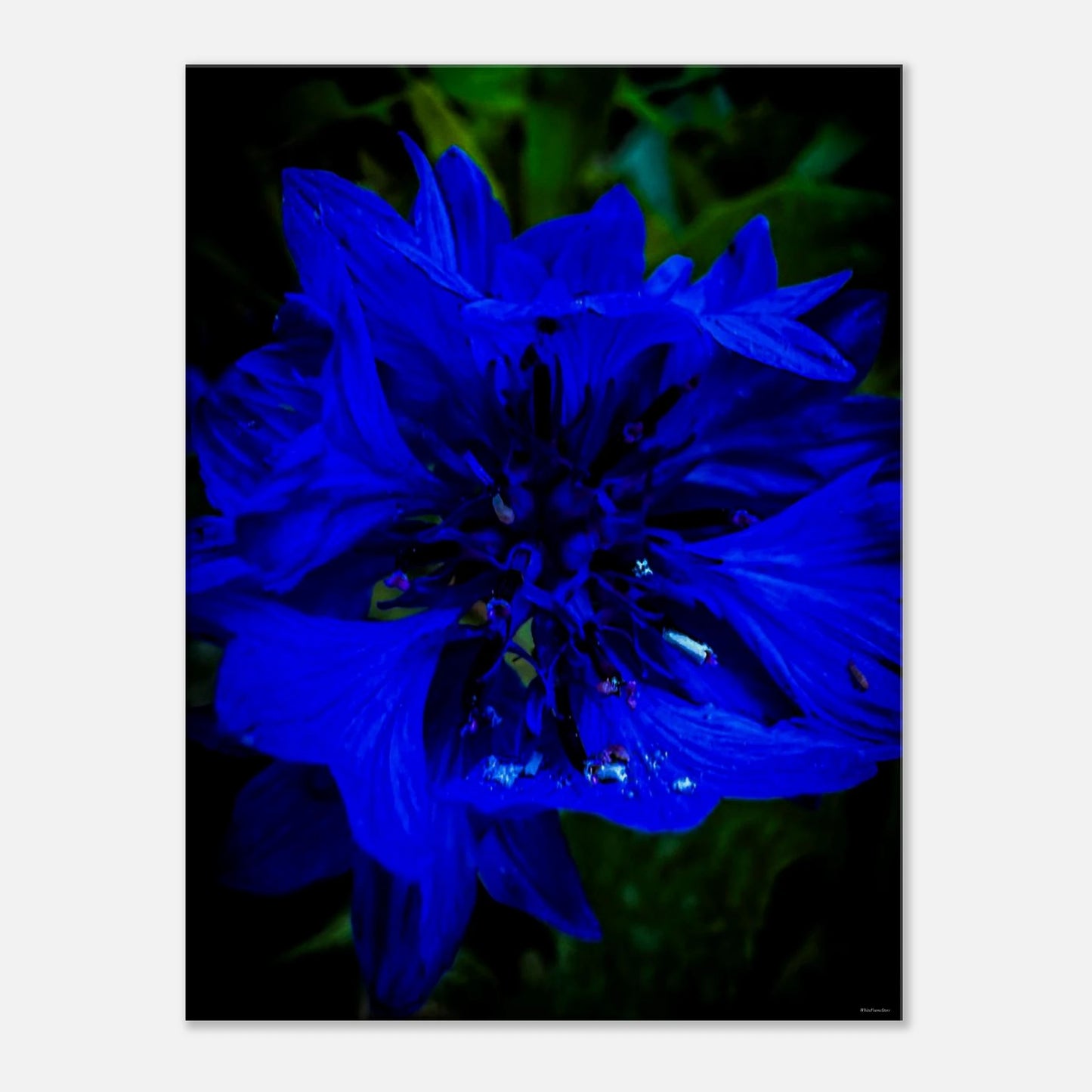 854e7d43-2c66-4d91-a8e1-68285922ff11