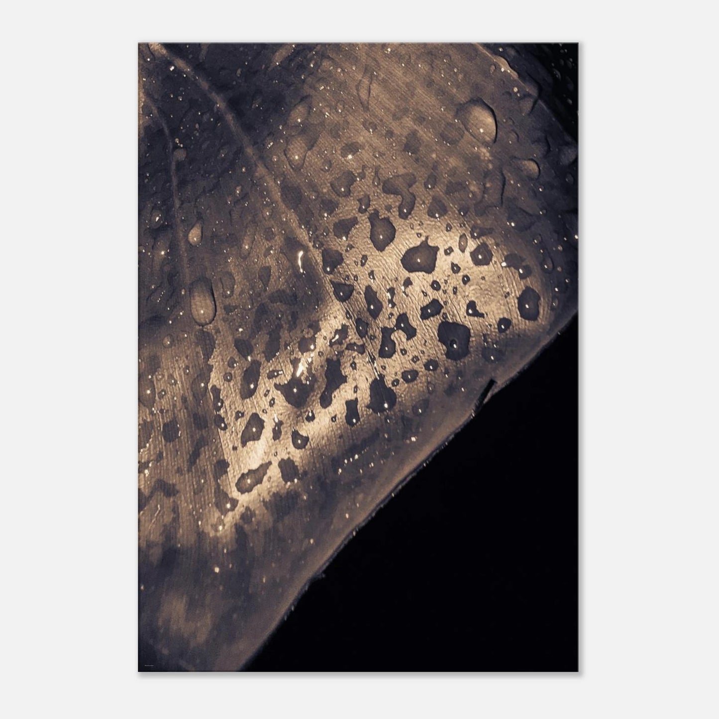 855dae59-4a05-4ccd-bccd-d2eea390a7c5