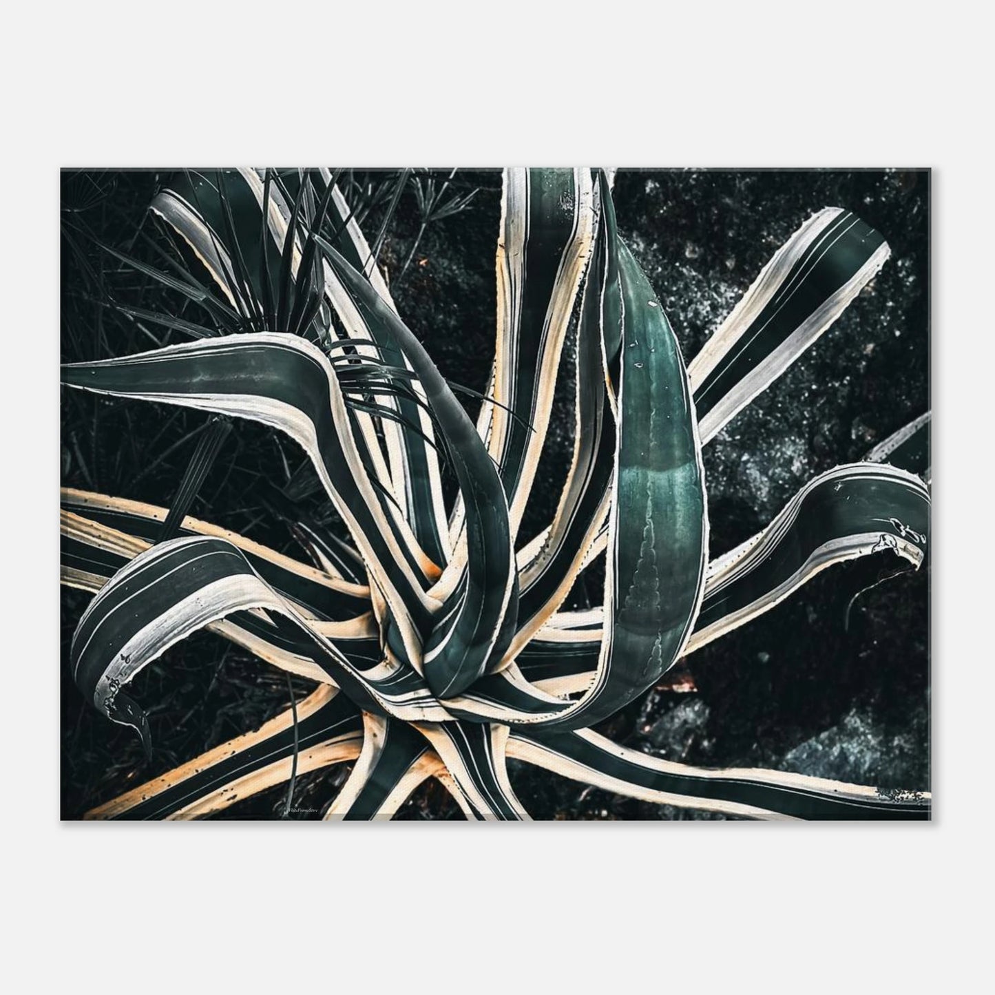 8563fa17-0d37-41de-831f-c882fe3c49e4