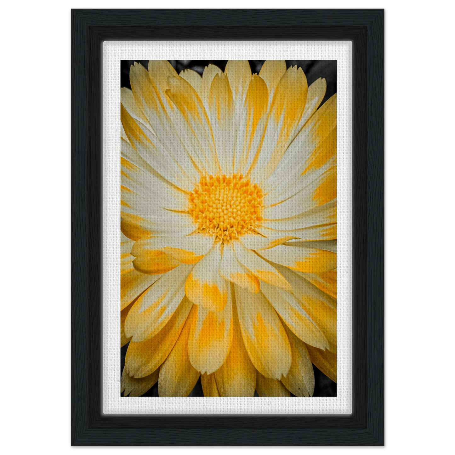 856a4639-c6e5-4416-b339-2138ec9ac76c