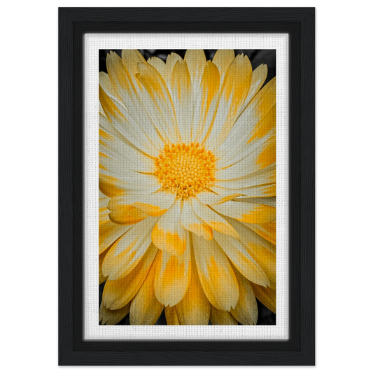 856a4639-c6e5-4416-b339-2138ec9ac76c