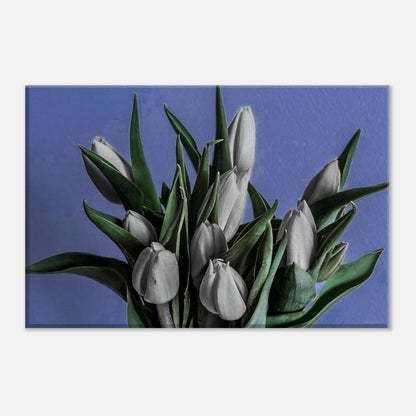 856e43ea-0635-4fce-bbad-4113eb38af95