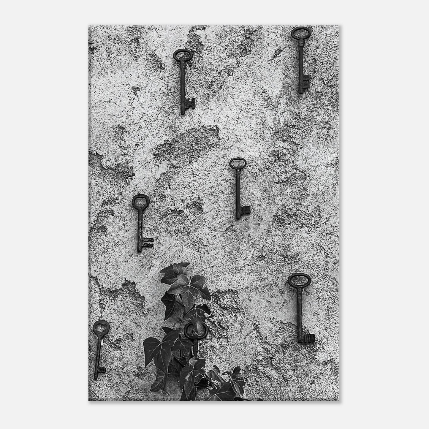 85a1bdb0-68a9-4af8-ae0e-5229b10798f7