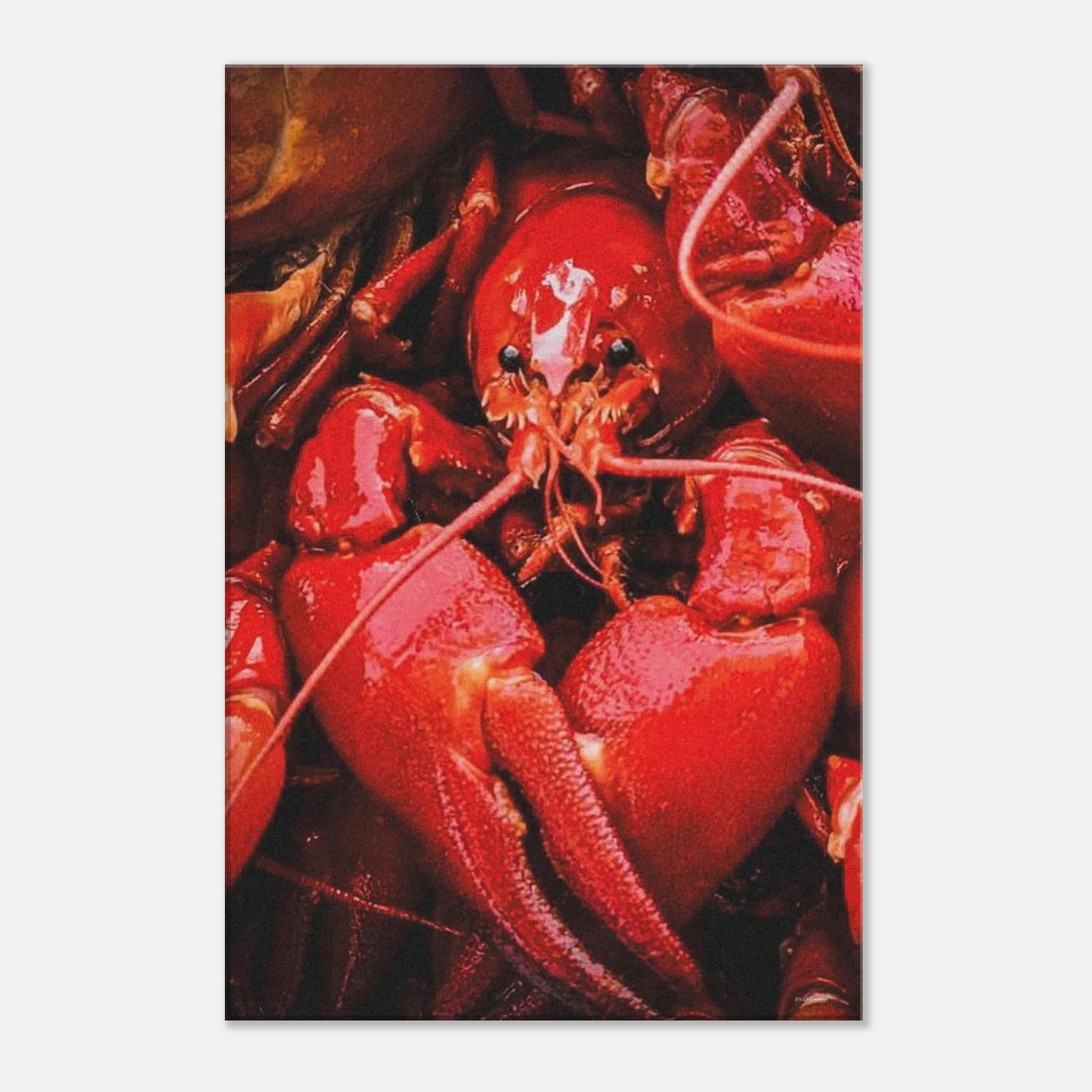 85b6bcca-03d1-45c0-a8b4-3a48df1afb41