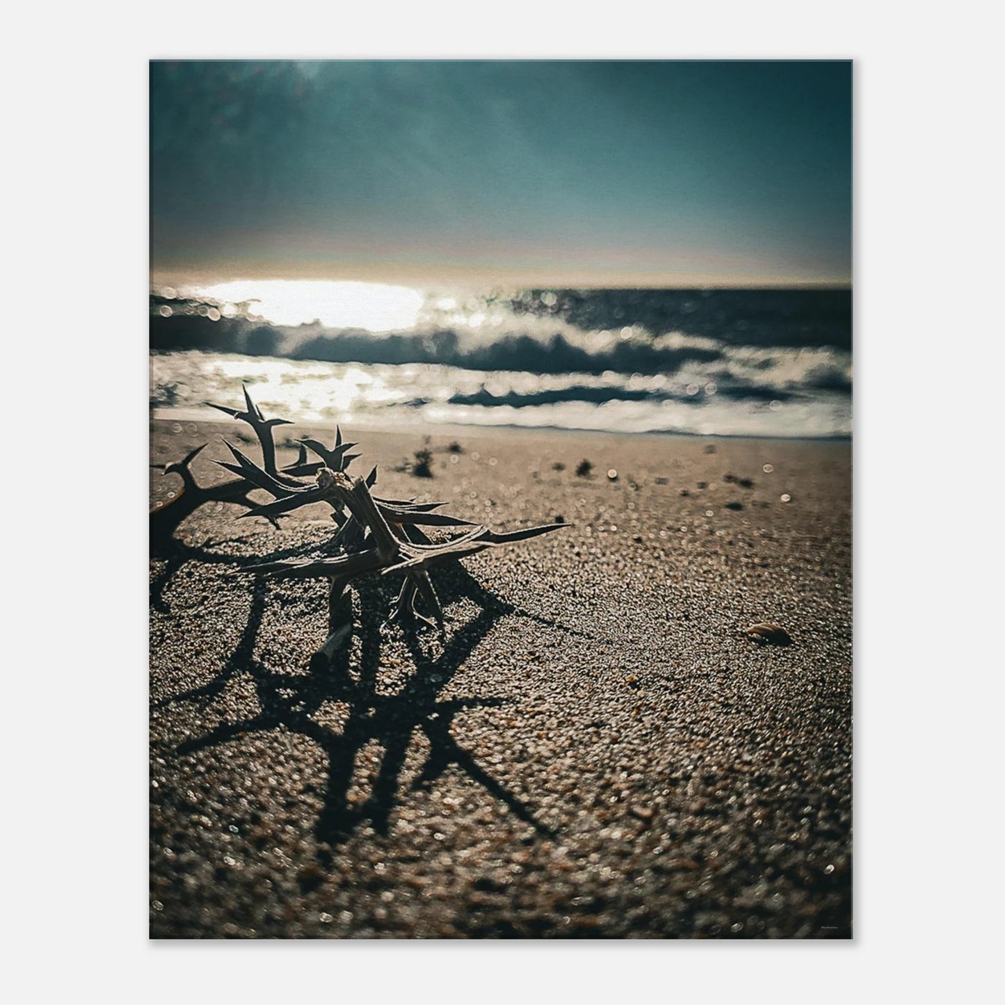 85dfc834-d824-4f30-a676-5c6a2d701ba4