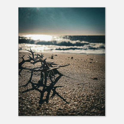 85dfc834-d824-4f30-a676-5c6a2d701ba4