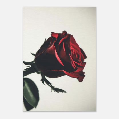 85e8adbb-921b-441f-817c-893bbe9ad725