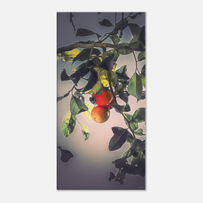 863cdea8-d567-472f-a5e6-c66e531f8a31