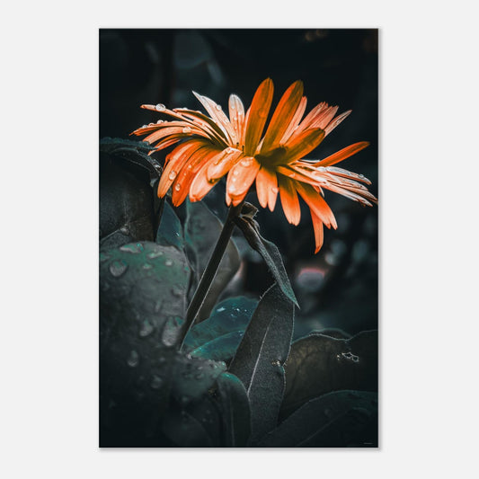 869044c0-2ea3-4209-b02f-270011cd790f