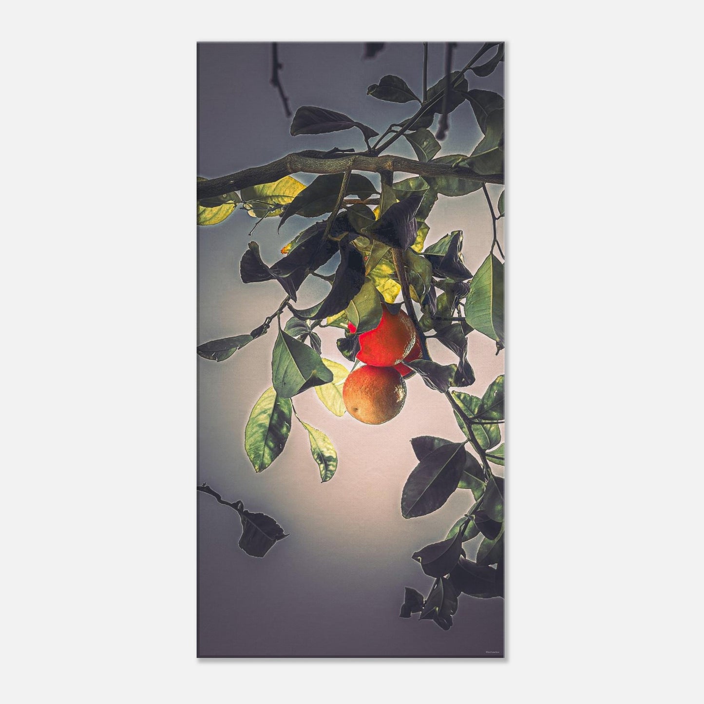 86ab2451-0998-40bc-8405-3429c3518ffe