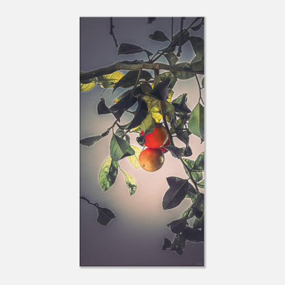 86ab2451-0998-40bc-8405-3429c3518ffe