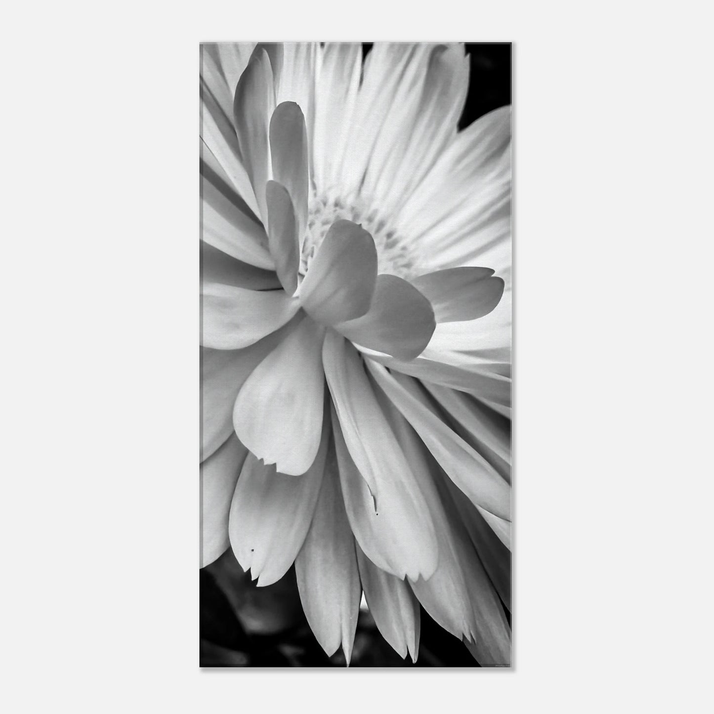 86e55a93-0ff0-46d4-94b1-e49e86060f84