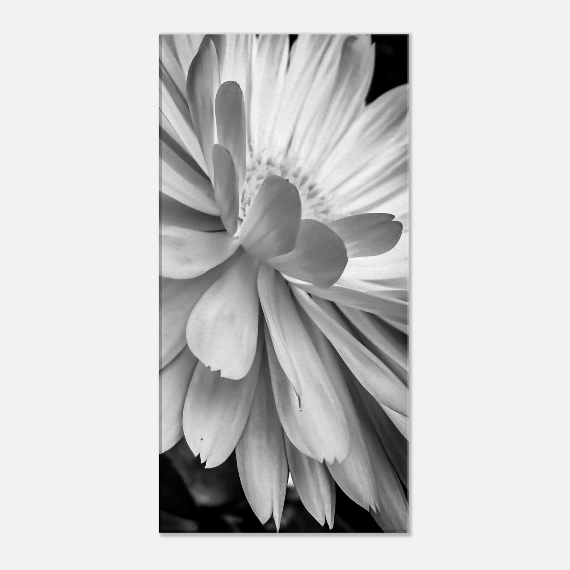 86e55a93-0ff0-46d4-94b1-e49e86060f84