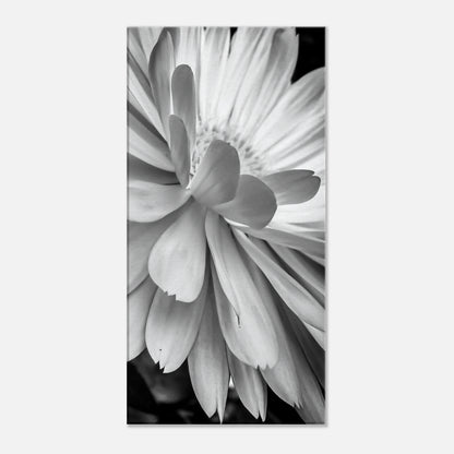 86e55a93-0ff0-46d4-94b1-e49e86060f84