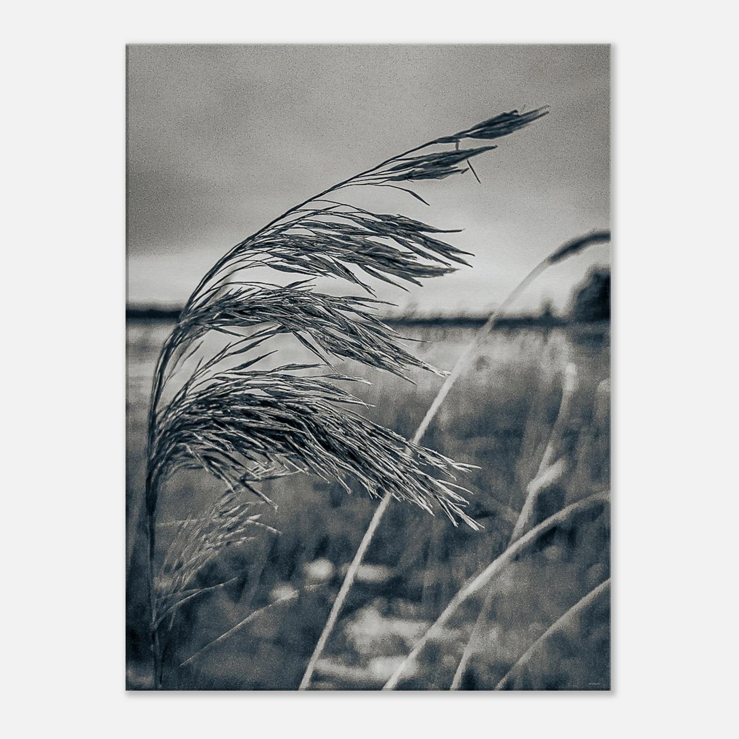 86e5c1e5-2339-4cf4-bcb2-20b79825ca78