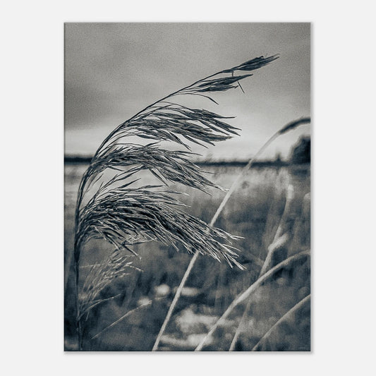 86e5c1e5-2339-4cf4-bcb2-20b79825ca78