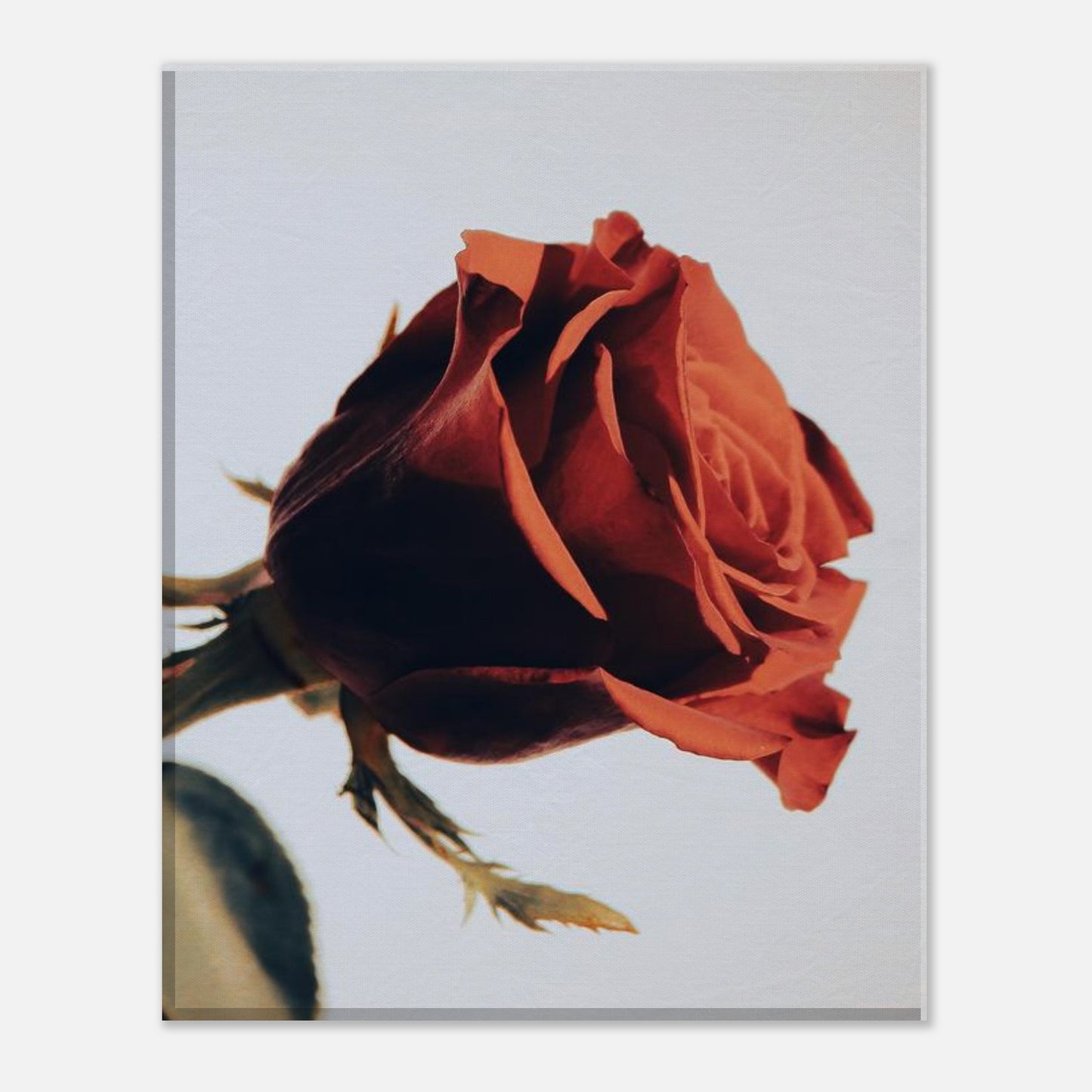 86ee10ae-2e67-4ef1-8f0b-71bdb5bf79ac