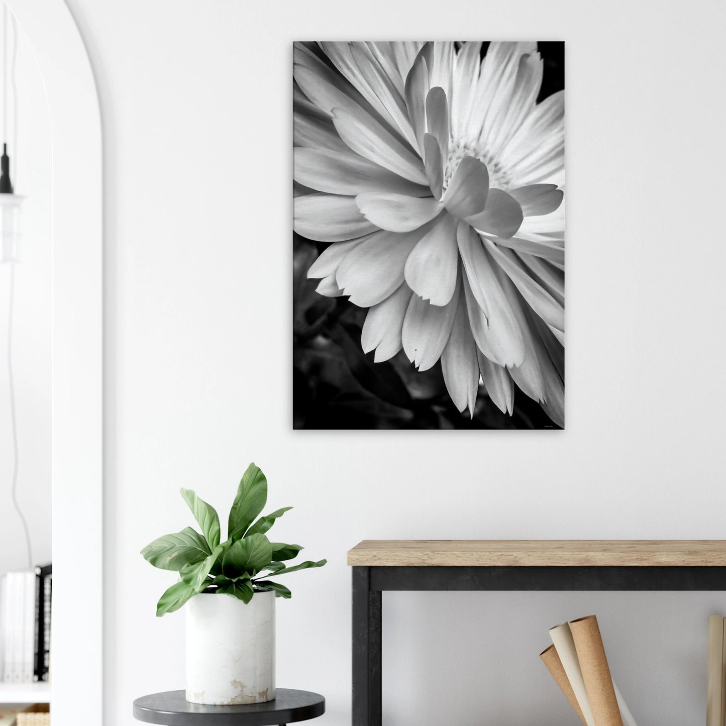 86f1fe7b-3659-410f-9078-602e2a5a71b6