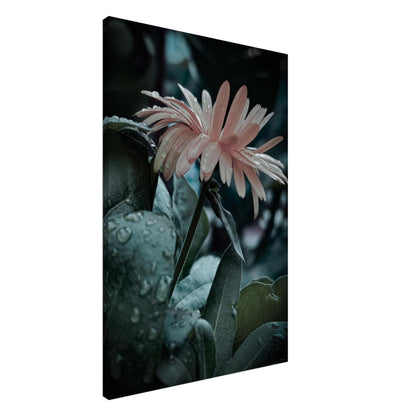 86fc7380-f195-4ed9-9d8f-4fa2e5d2cb31