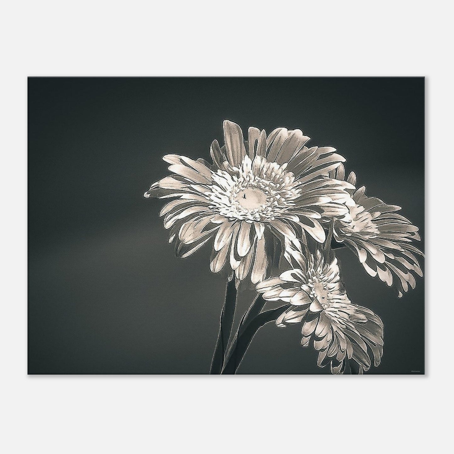 8701f4d5-695f-433b-9313-17ea15603b10