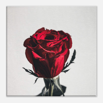 877ecdc9-c0bb-4575-9220-beed05d0ba03