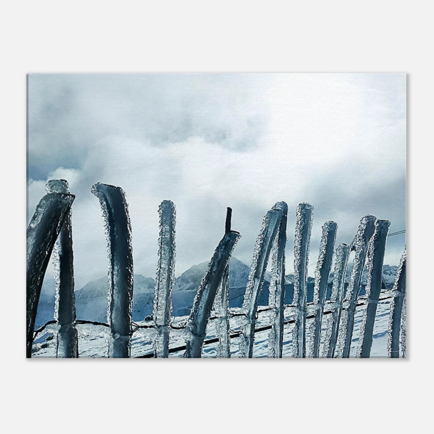 87d634a7-9511-4832-9491-d3b0d7ff05f6