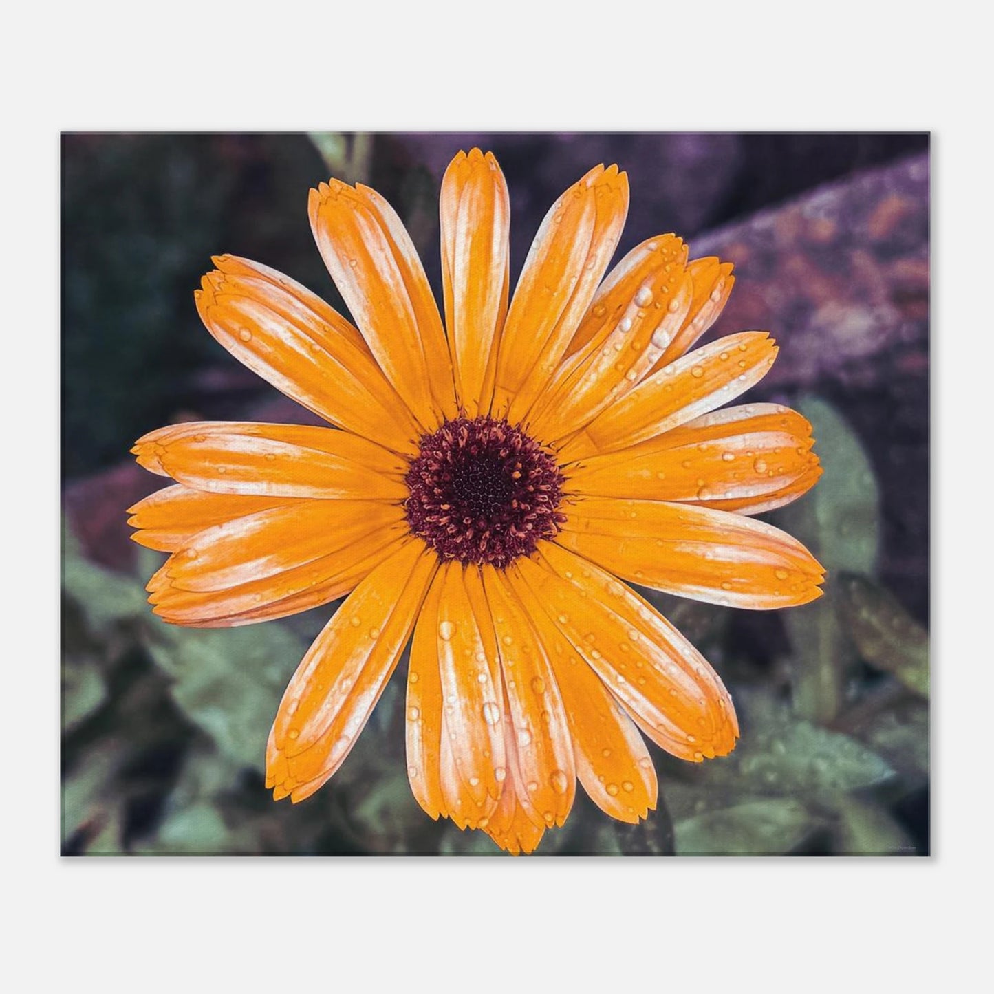 87e4e762-28af-434a-ad25-b3ef05bcf46d