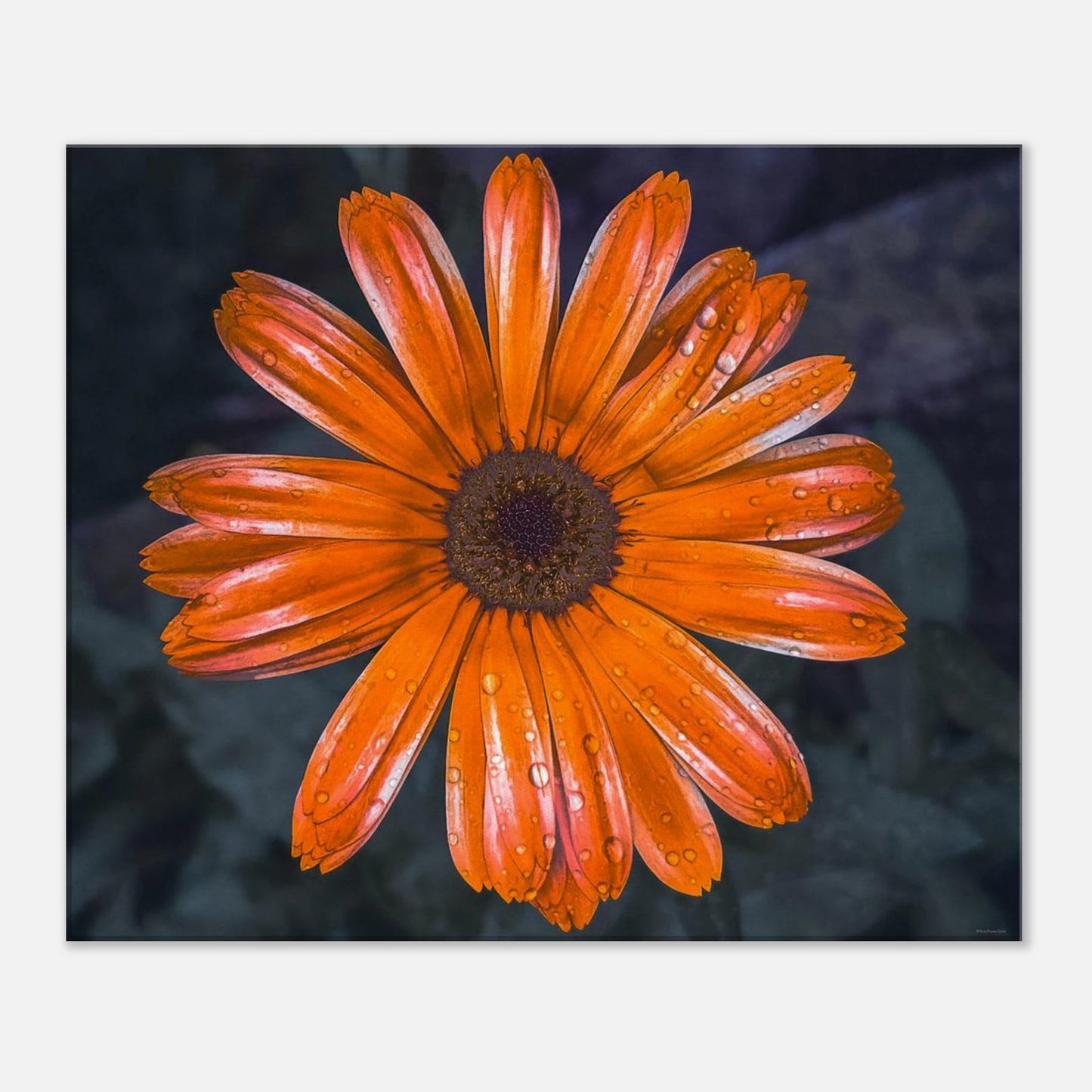 87e5d987-d400-4ba9-b073-f1fd2e0a0bae