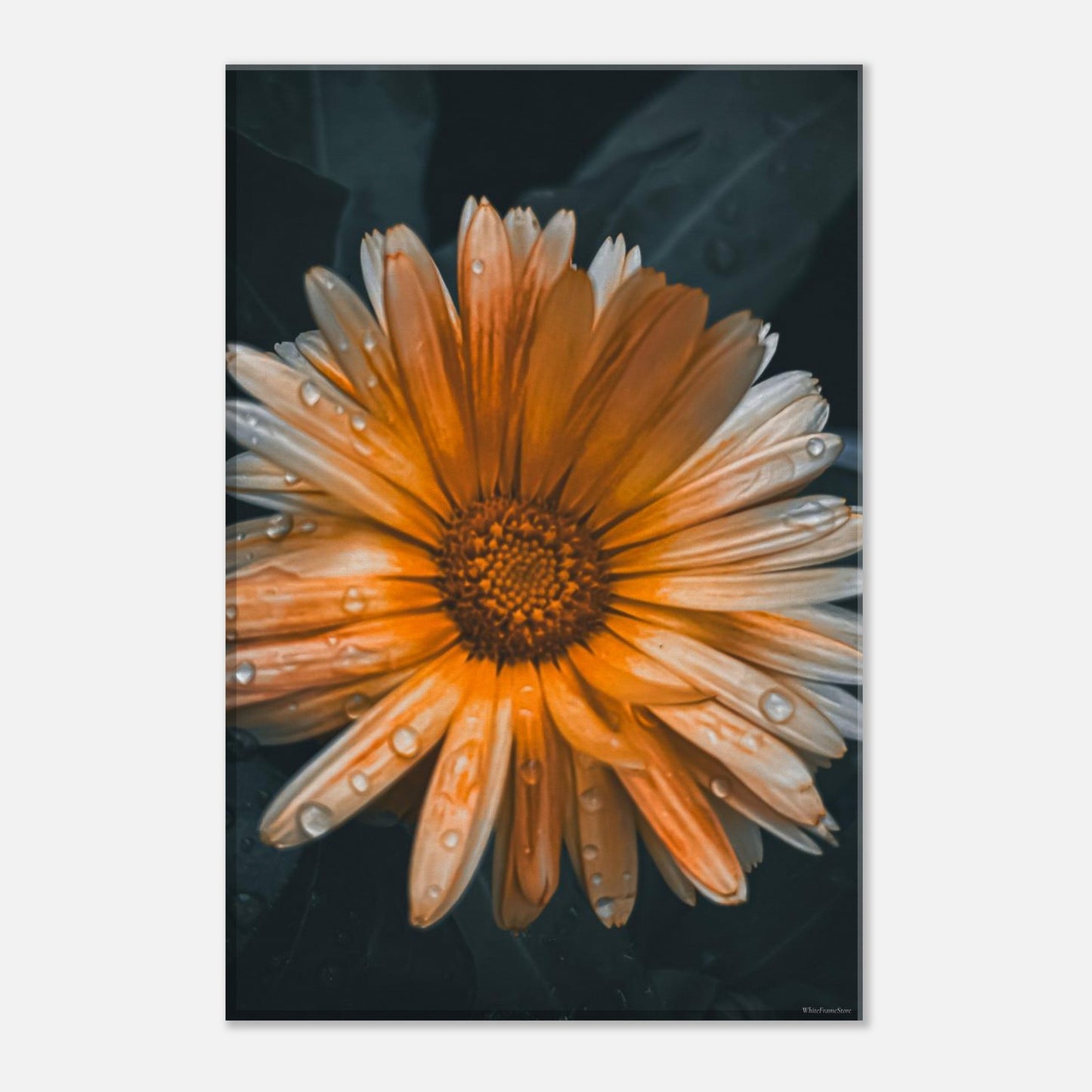 87e7b72f-dbe4-4942-b1e4-300a77d943b1