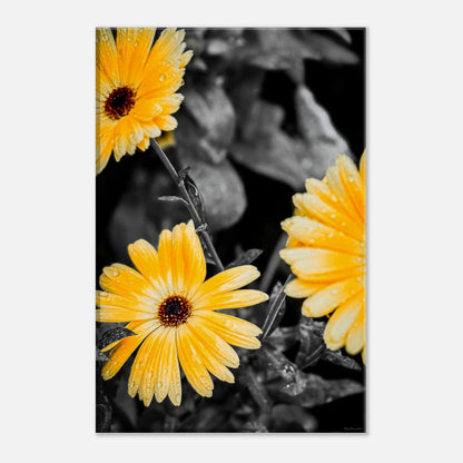 87f2903a-44ee-43fb-a52f-f07e0237b3d4