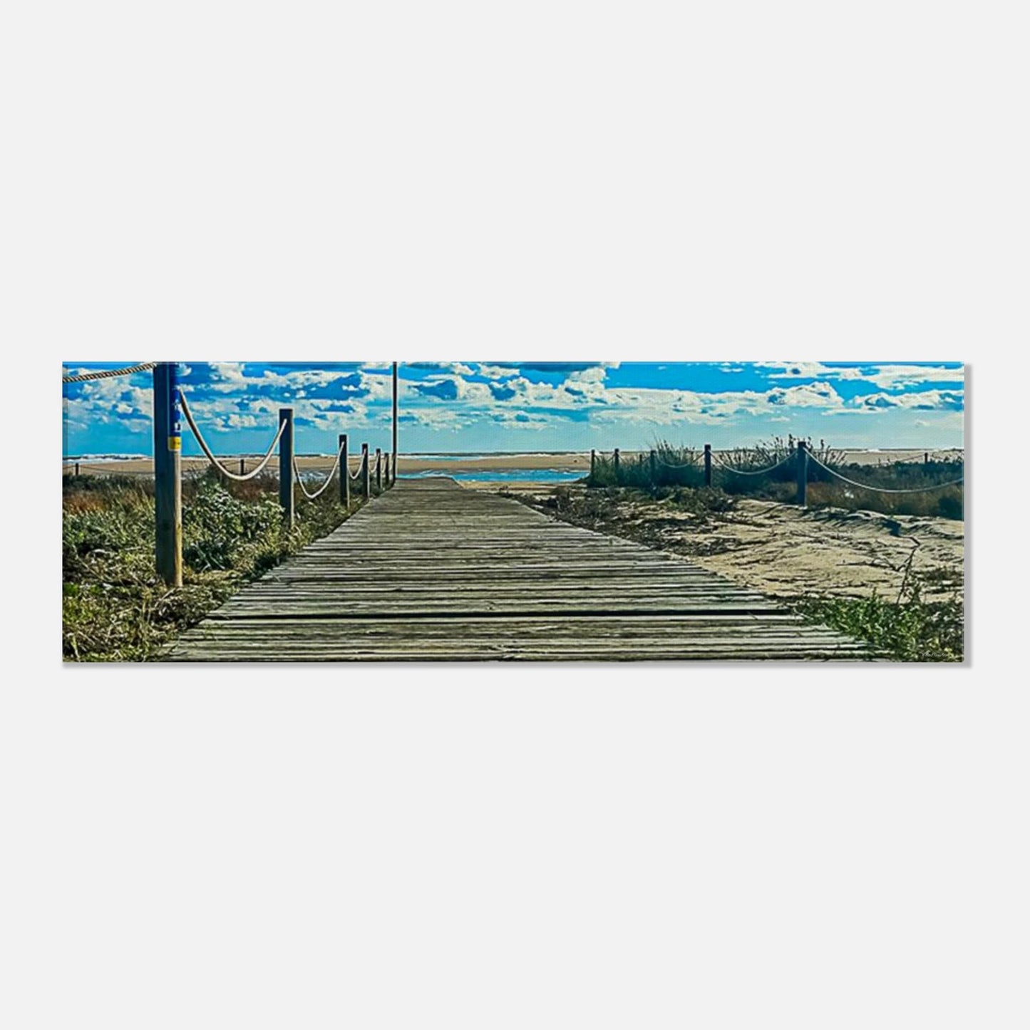 886a8e0b-2ea0-47cd-88d8-440cdd4ddbec