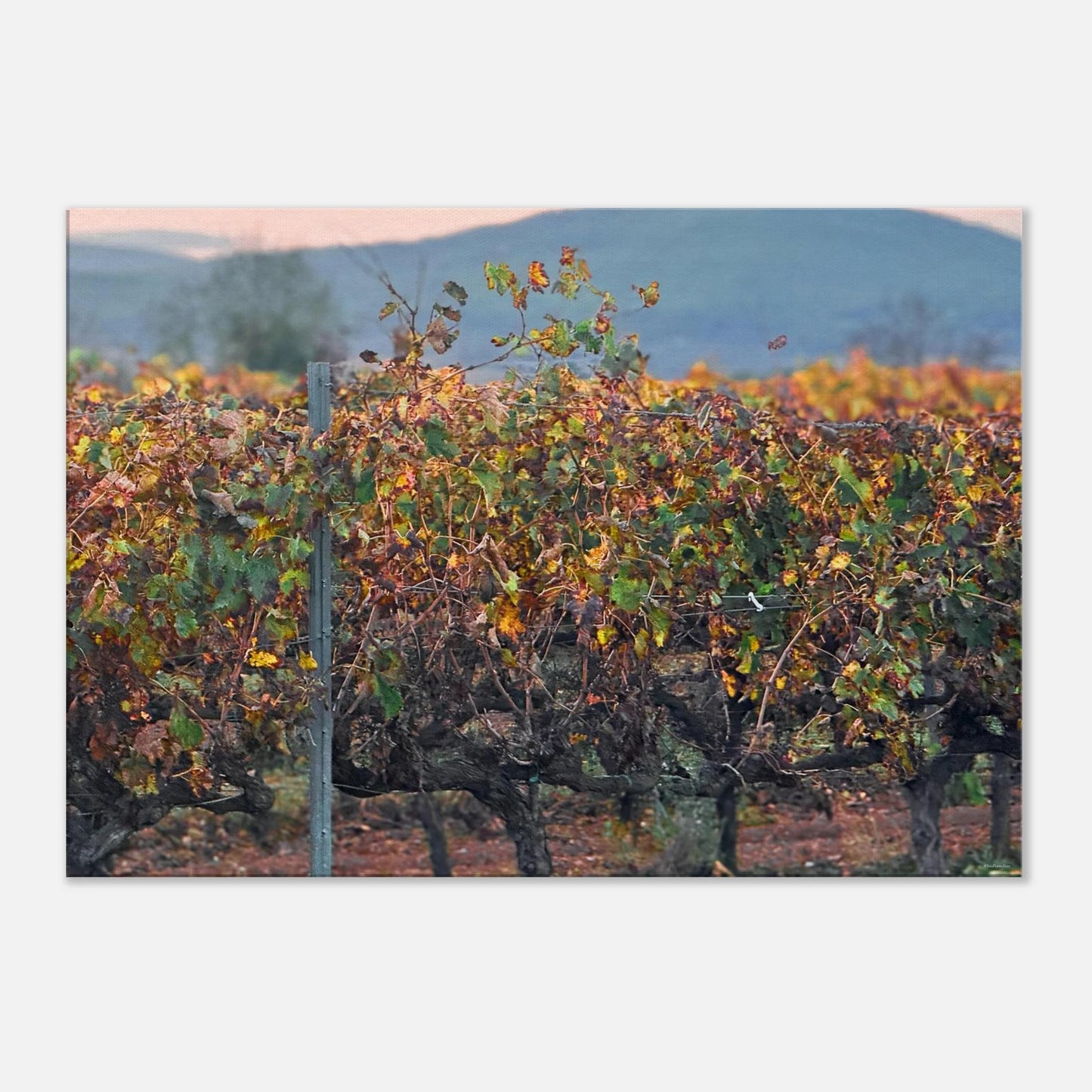 888d7913-2eb5-44a1-a652-716c244dfbc1