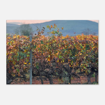 888d7913-2eb5-44a1-a652-716c244dfbc1