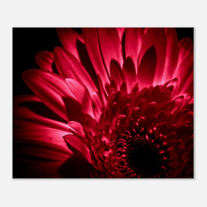 888da2bd-c62e-43bf-ba10-48e514fe7a29