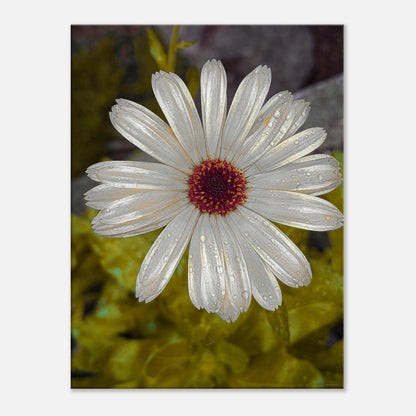 88a666f3-9c3c-4d26-96a4-eb60b88cc25c