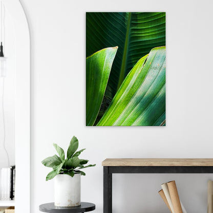 88c5dae1-db49-409f-9dd6-ef1a40f8c447