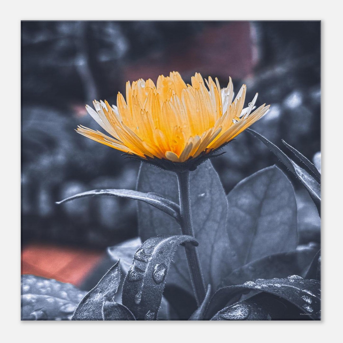 88f79645-faf1-4ef9-9393-8ab056071036