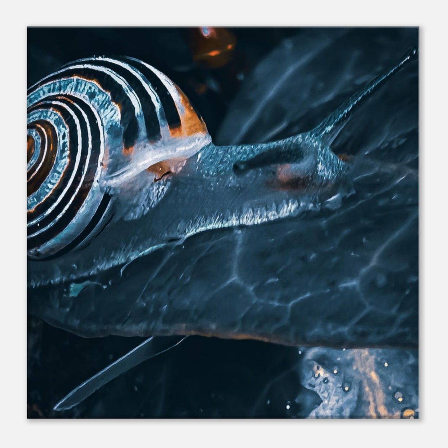 8902ad06-c722-430e-abe7-cd53fcd238f3