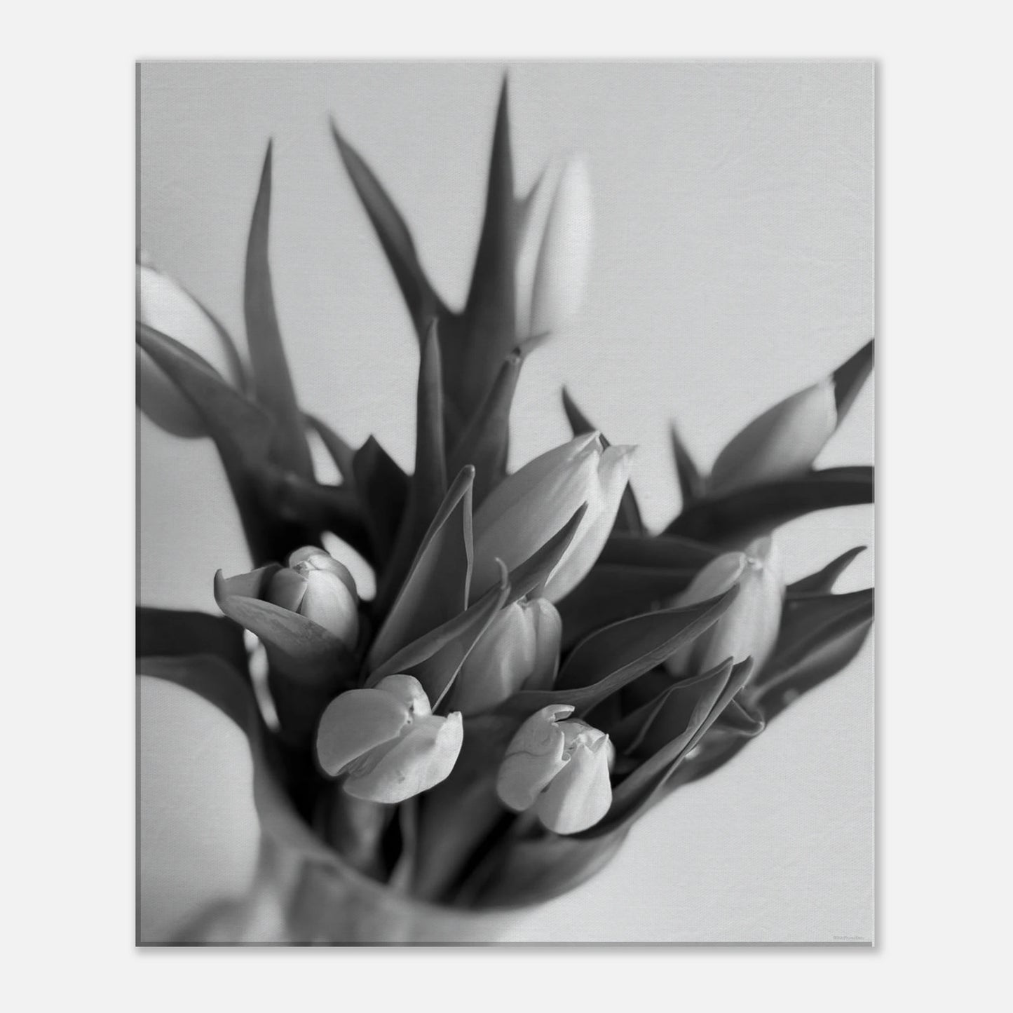 8919e964-6f04-4ea3-91c9-2143a255fdca