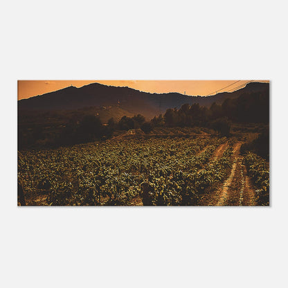 8926d528-a5b5-4960-a68f-95995b71a8f6