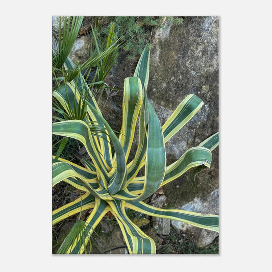 894d7906-4aff-4100-8ad7-2de1f357f705