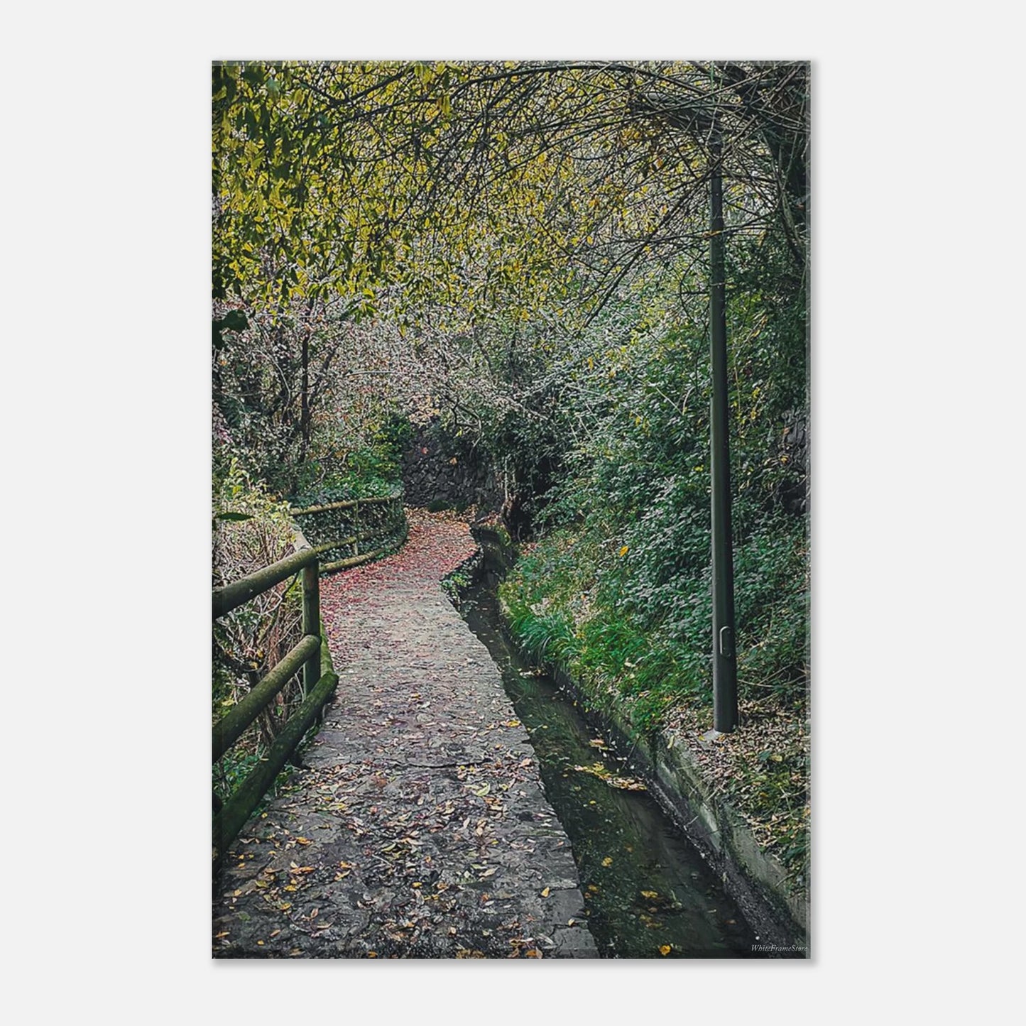 895f80ad-9ed2-4d5f-832d-fac7645d5c00