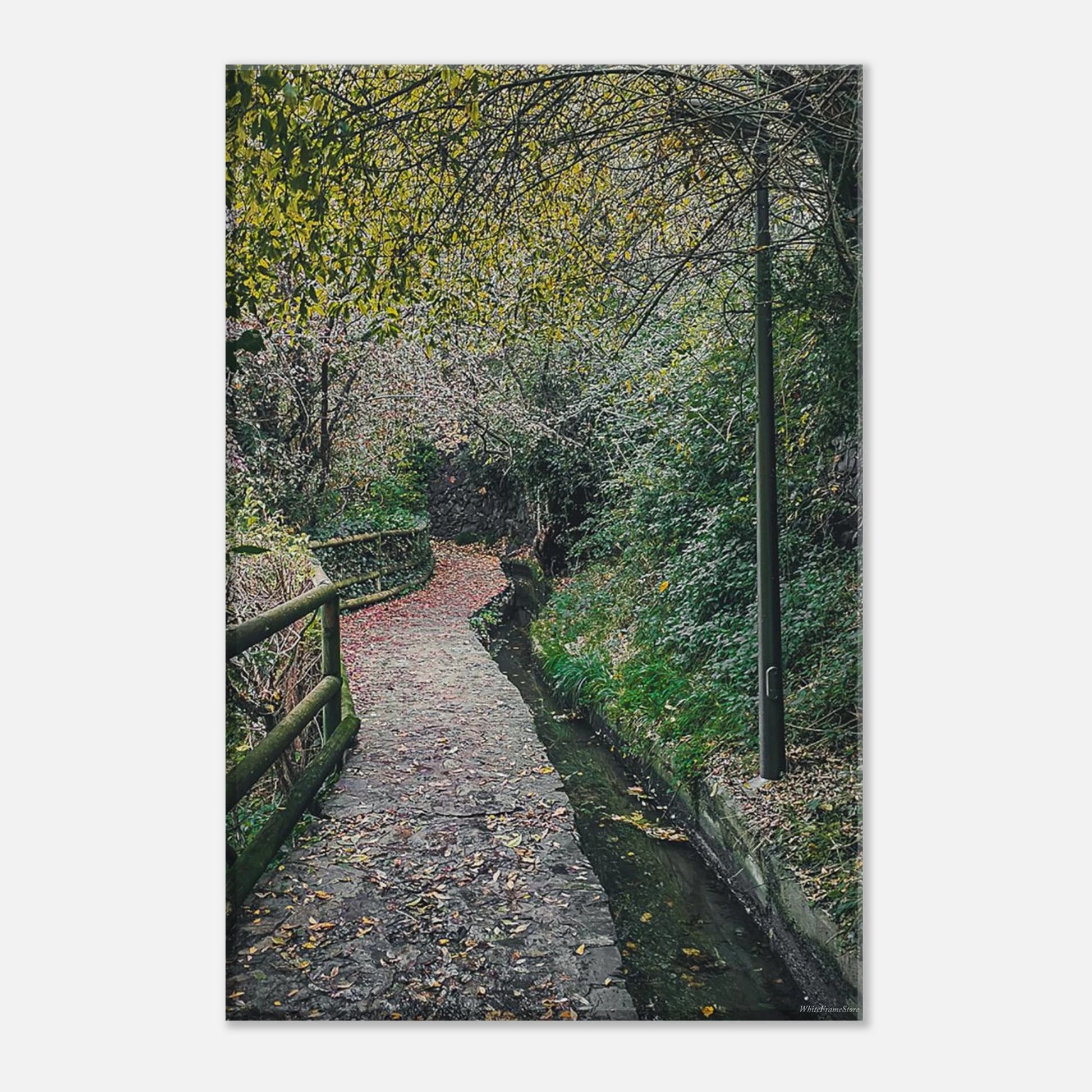 895f80ad-9ed2-4d5f-832d-fac7645d5c00