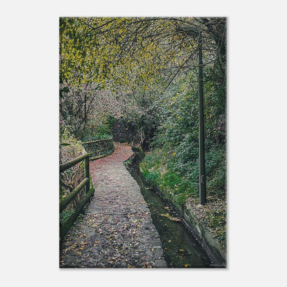 895f80ad-9ed2-4d5f-832d-fac7645d5c00