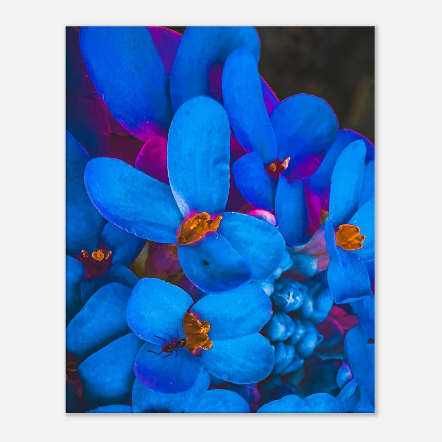 896fb0ea-8ead-4292-82f3-e4c025e80f1c