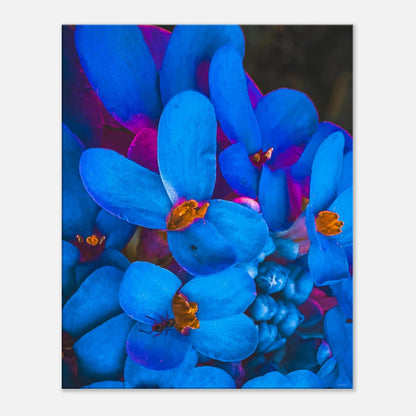 896fb0ea-8ead-4292-82f3-e4c025e80f1c