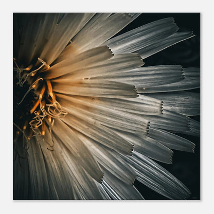 89b759d1-e541-449c-ac90-7ffbc07f0883