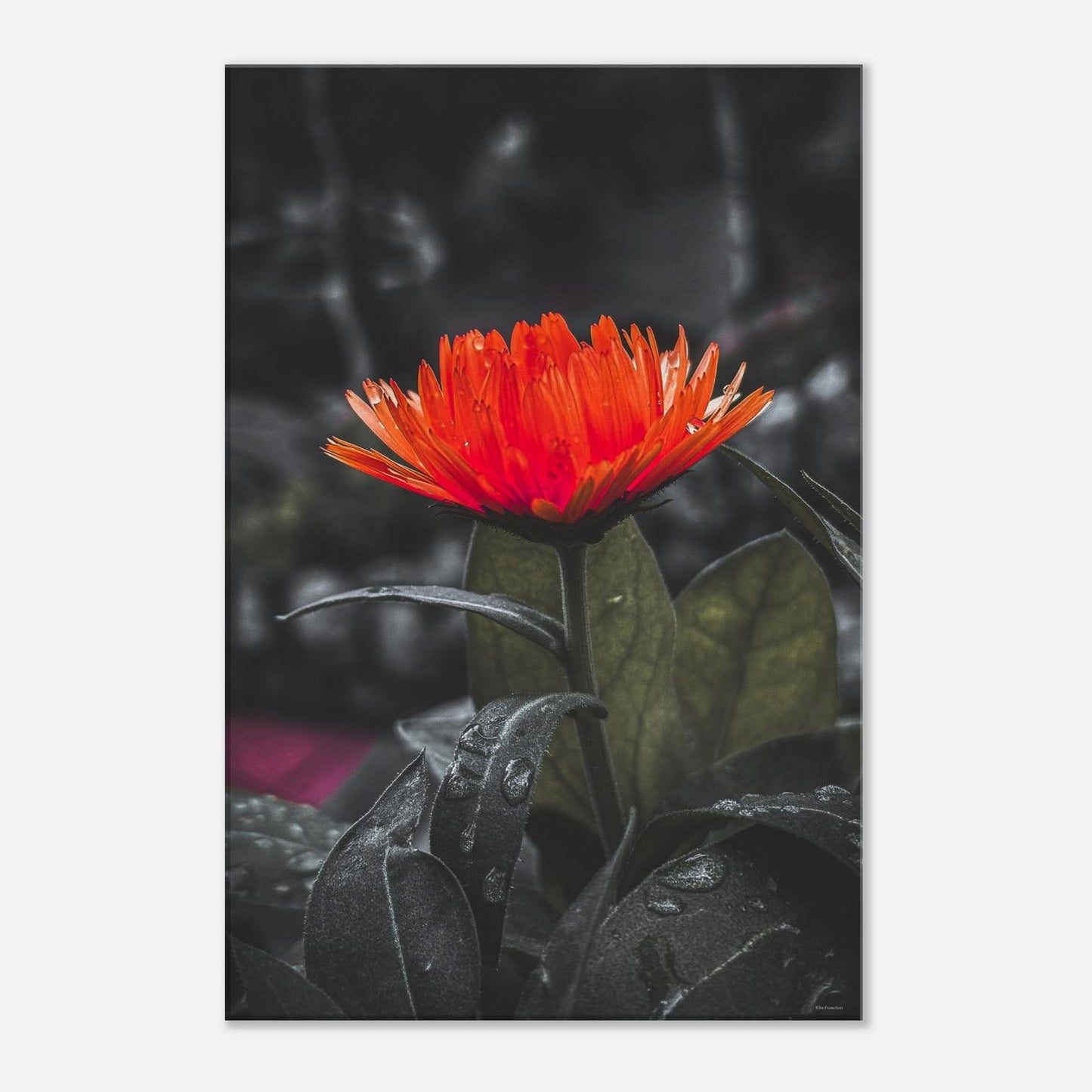 89c0f29e-6584-4c7d-a707-f013fc3b9995