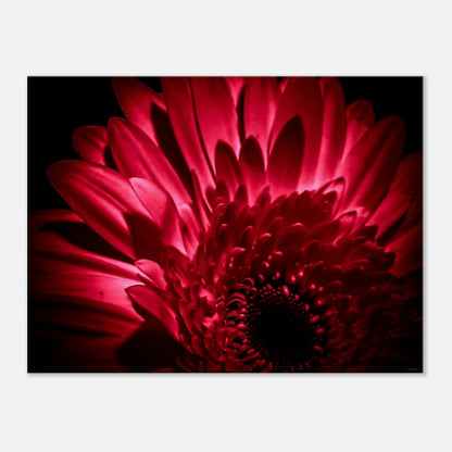 89cdca45-808f-4c97-a298-d0f6dff814f5